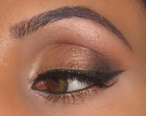 Makeup Bronze Eyeshadow