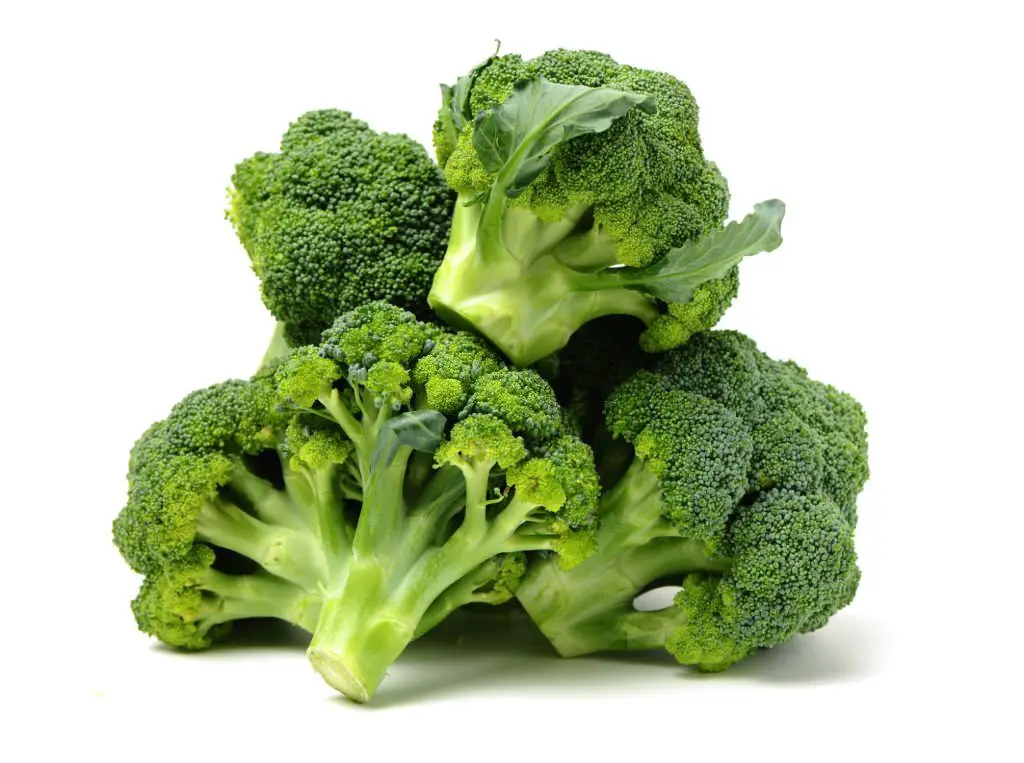 Broccoli is one of the healthiest foods