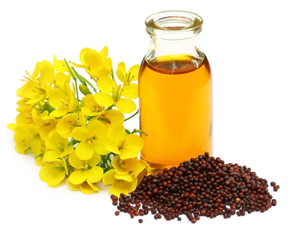 gentle massage with warm mustard oil