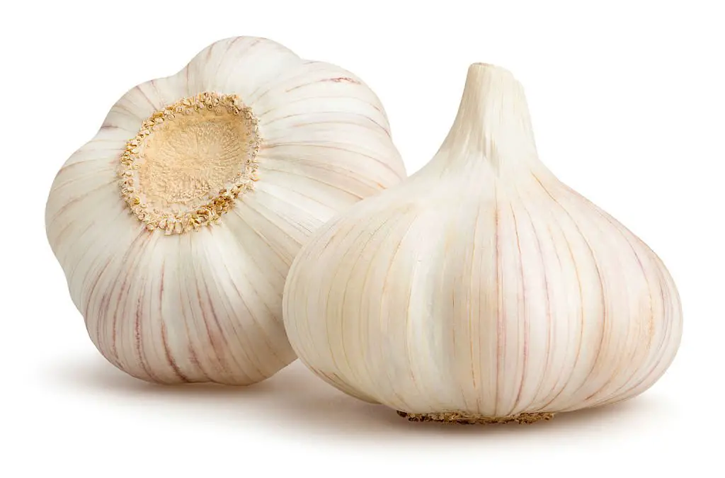 Garlic is quite a useful component