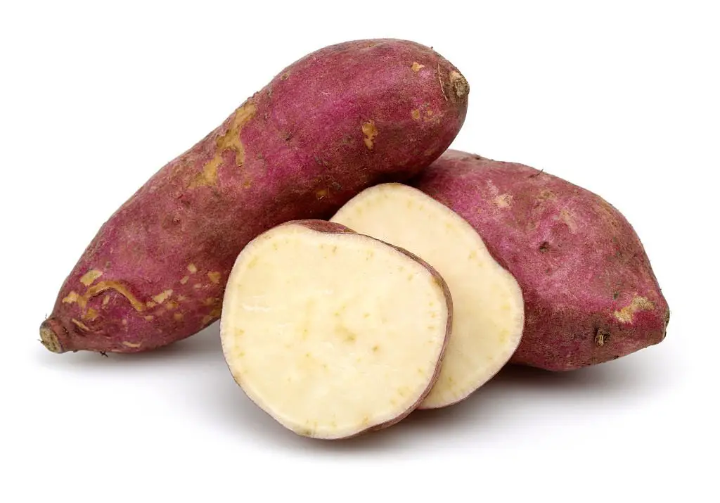 Sweet potatoes are an abundant source of protein