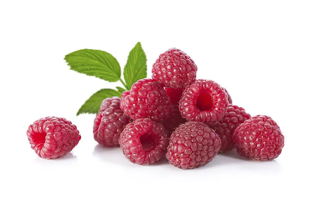 Raspberries are an excellent