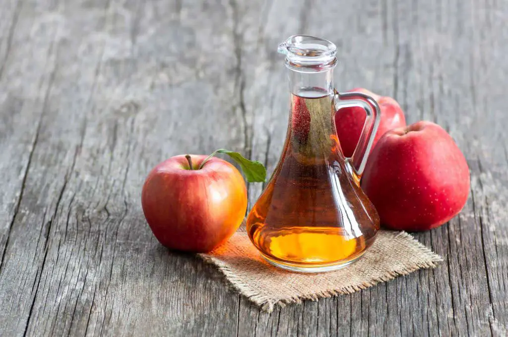 antibacterial properties of Apple Cider Vinegar