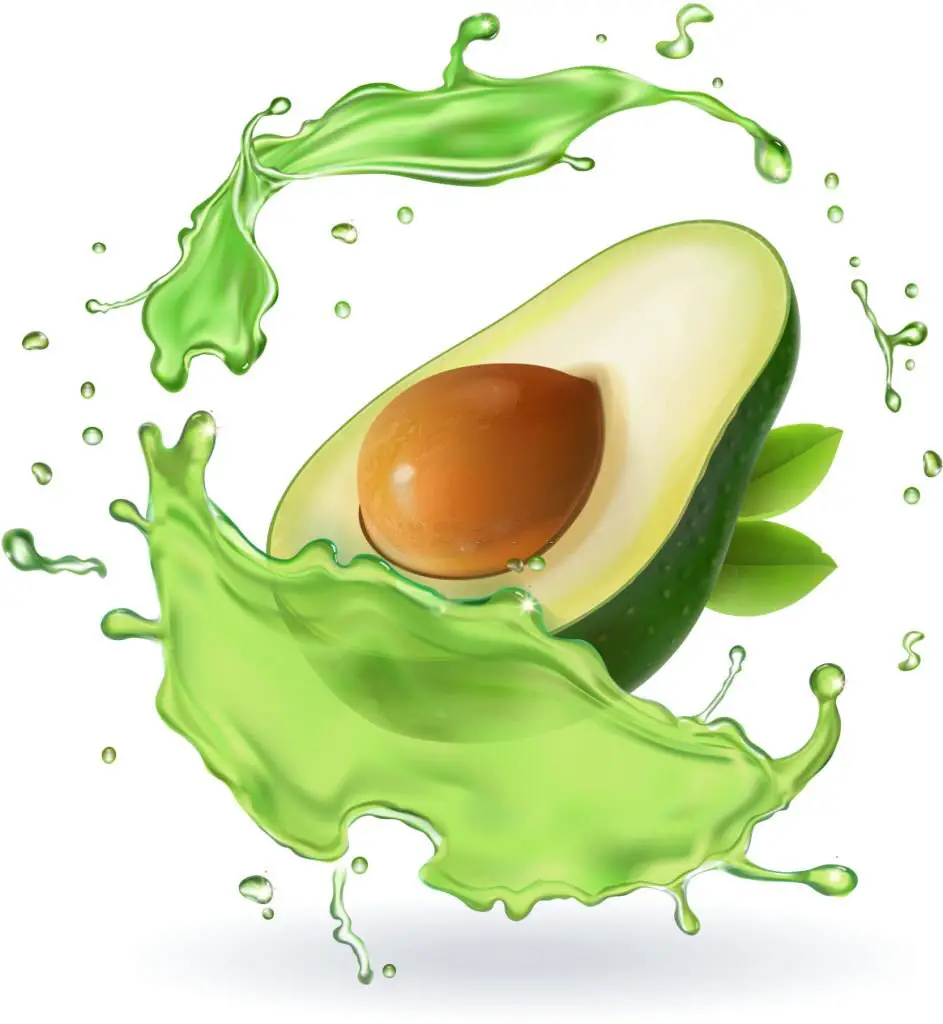 Avocado is an organic anti-oxidant