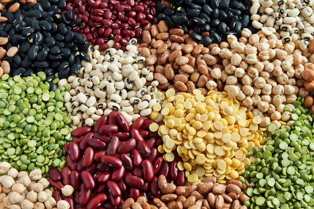 Beans and Legumes whole