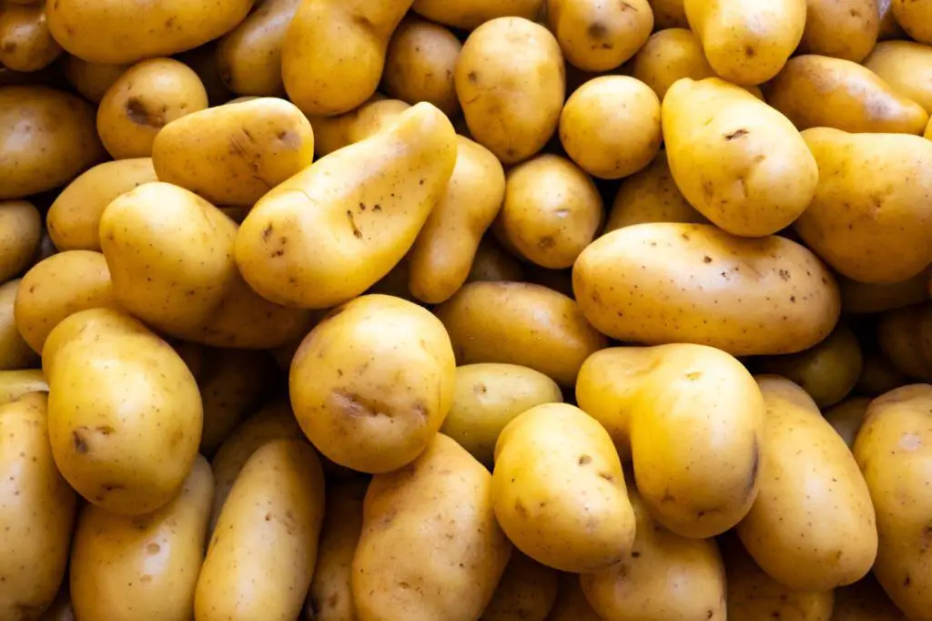 Best food for weight loss potato