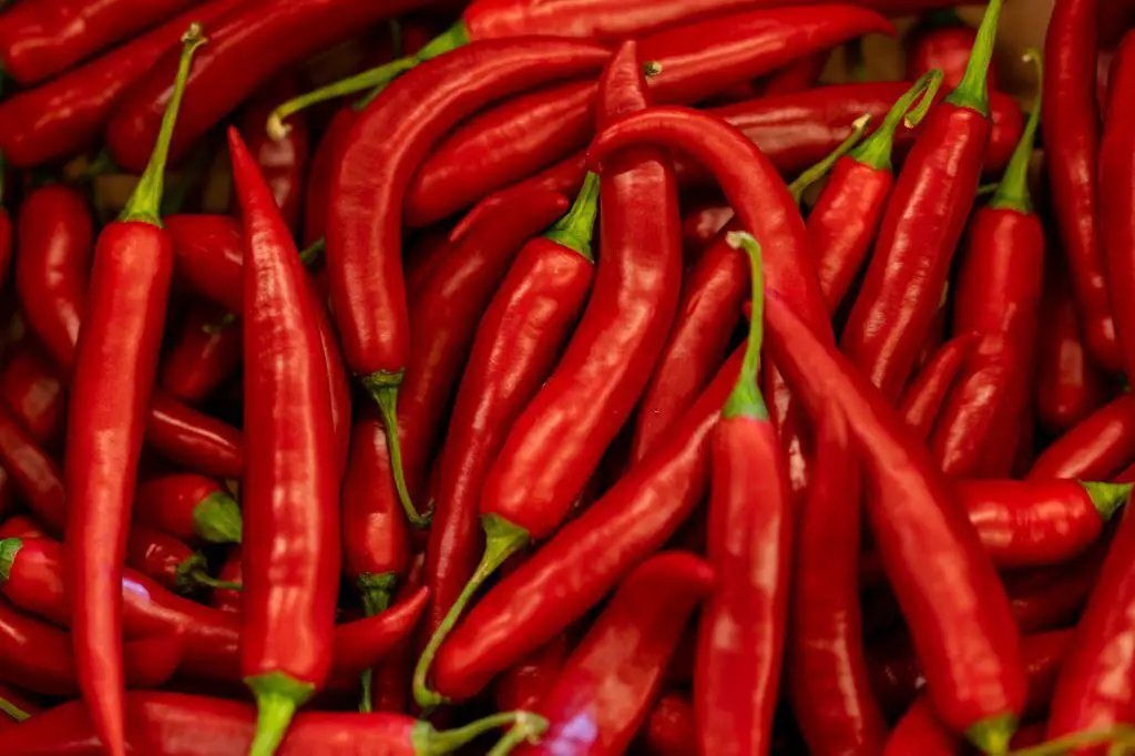 Best food for weight loss hot pepper