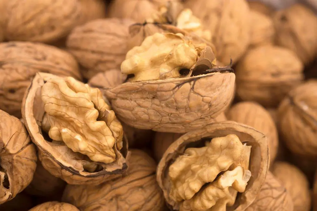 Best food for weight loss walnuts