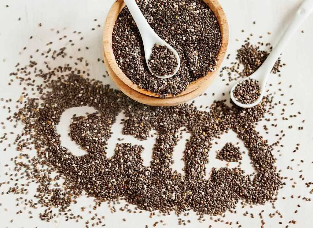 Best food for weight loss chia seed