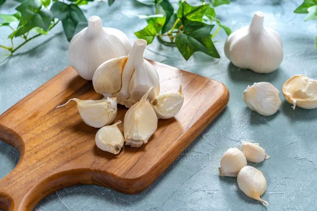 garlic pieces