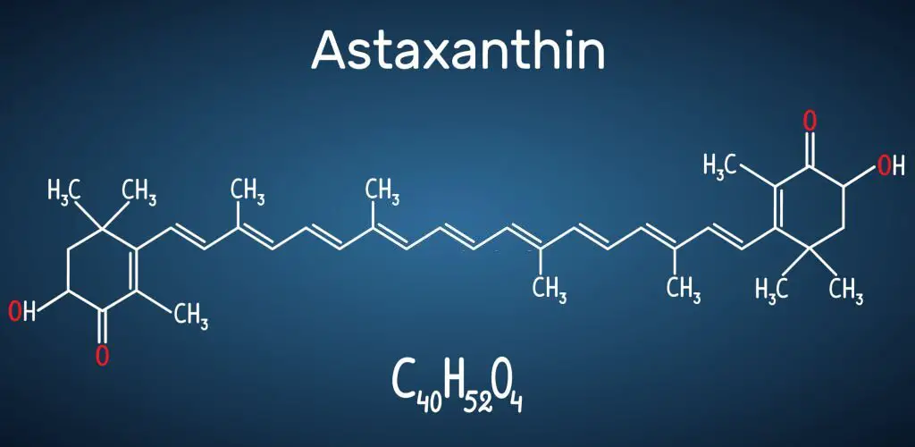 Salmon Antioxidant from Astaxanthin