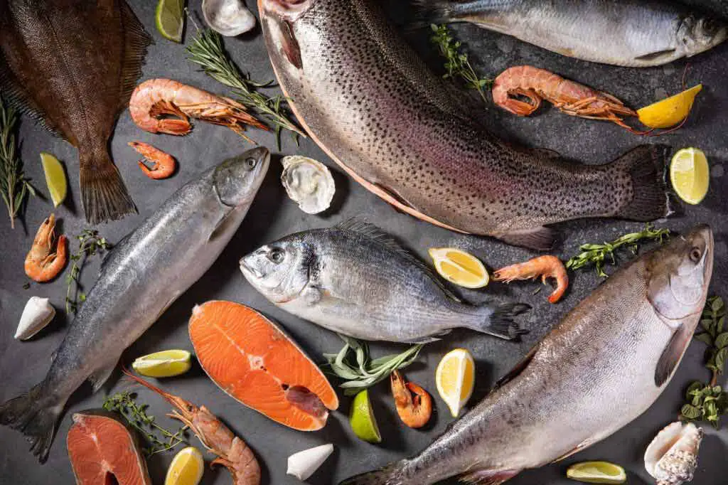 Salmon varieties differ in appearance as well