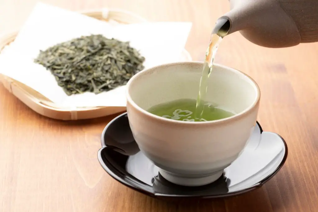 Sencha is one of the many green teas varieties