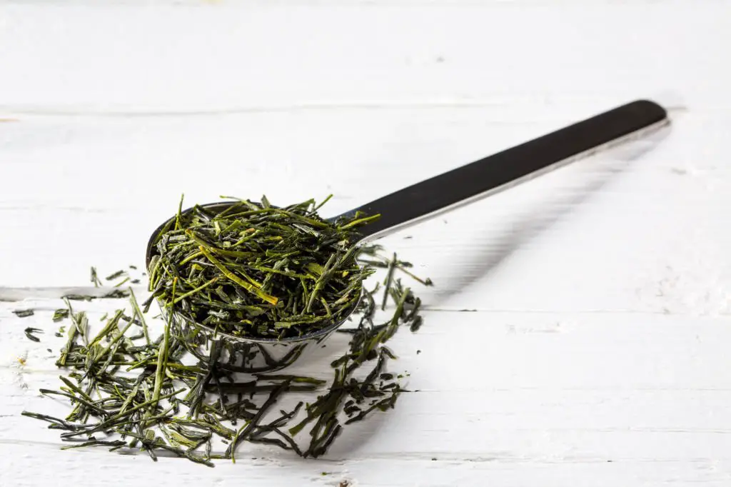 Shincha comes from the very first green tea harvest