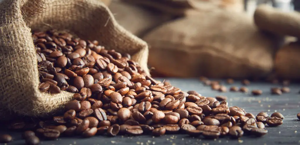 Coffee bean comes from two known varieties