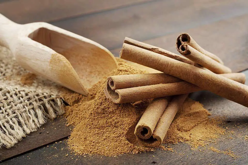 Health benefits cinnamon is essential to our body