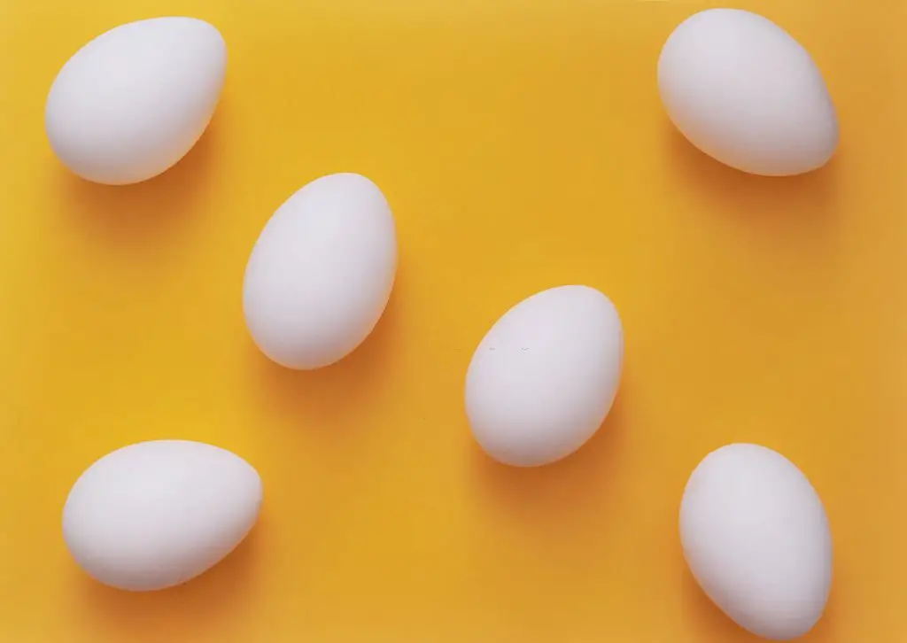 Eggs have many benefits for our bodies