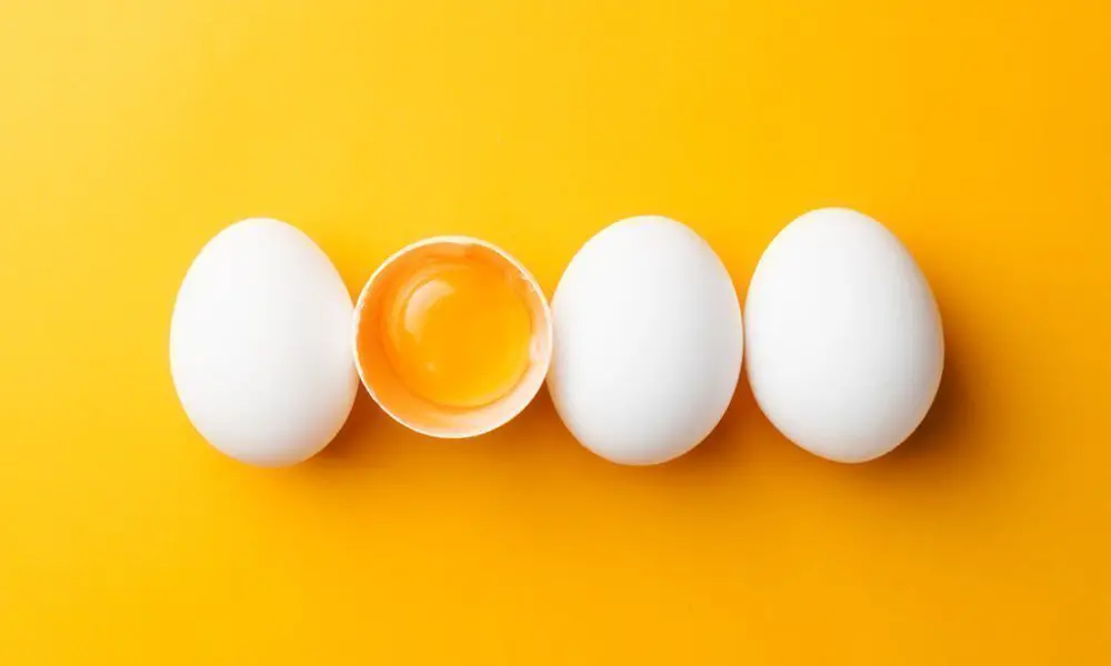 Egg-Nutrition