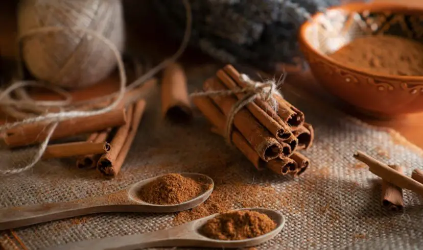 Health benefits cinnamon