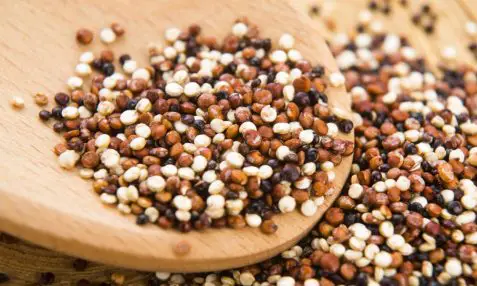 Quinoa Health Benefits