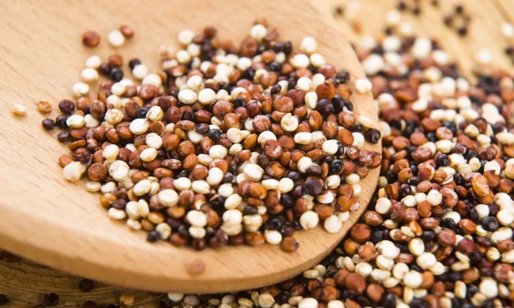 Quinoa-Health-Benefits