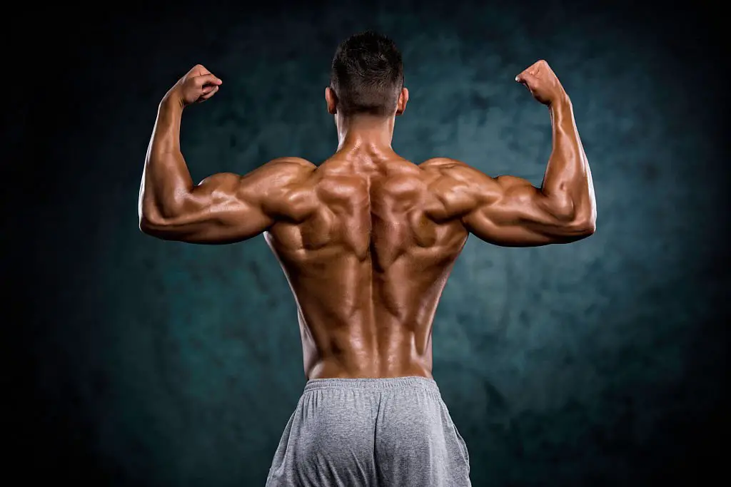 Learn the best workout for your back