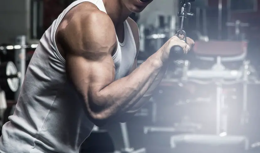 Tricep workouts for Perfect Toned and Strong Arms