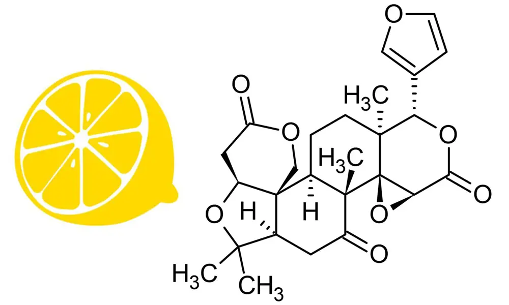 What are limonoids in lemon