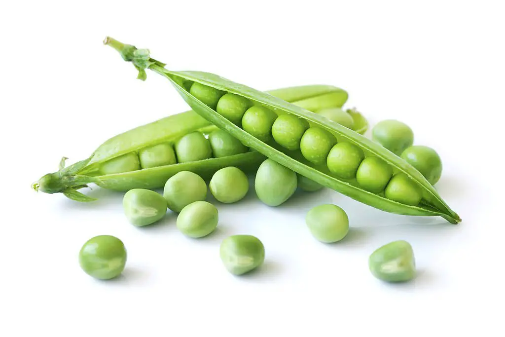 Mostly we can see green peas as a side dish