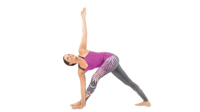  Extended Triangle Pose