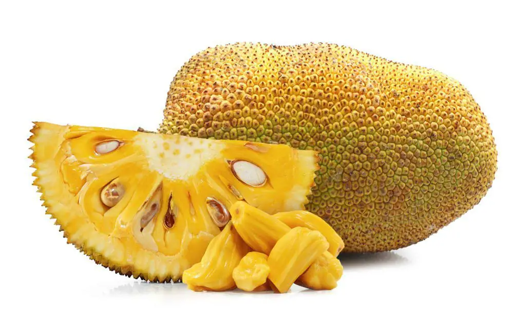 What can we say about jackfruit for diabetes