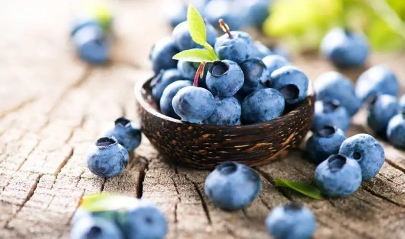 Eating Blueberries benefit