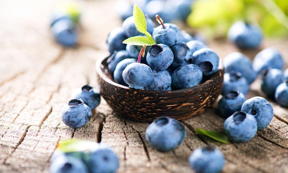 Eating Blueberries benefit