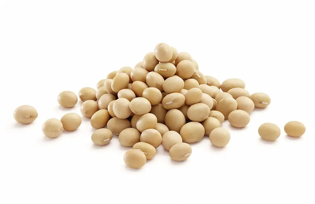 Whole soybeans are one of the right sources of protein