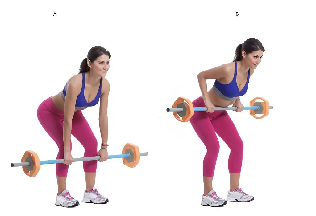 Barbell Bent-over Row Aside from doing workouts with curl