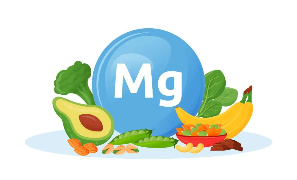 High Magnesium Foods that You May Need