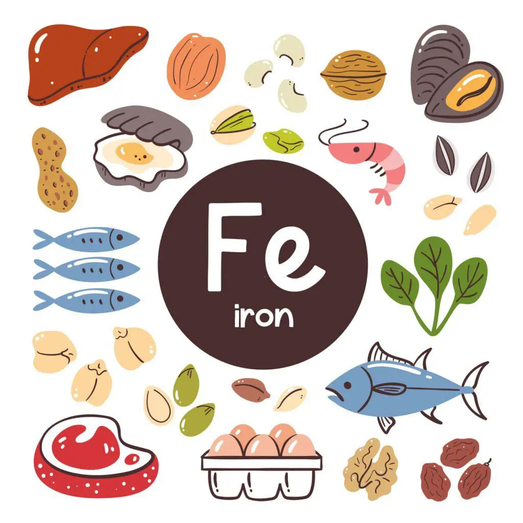 Tips on Getting the Right Amount of Iron