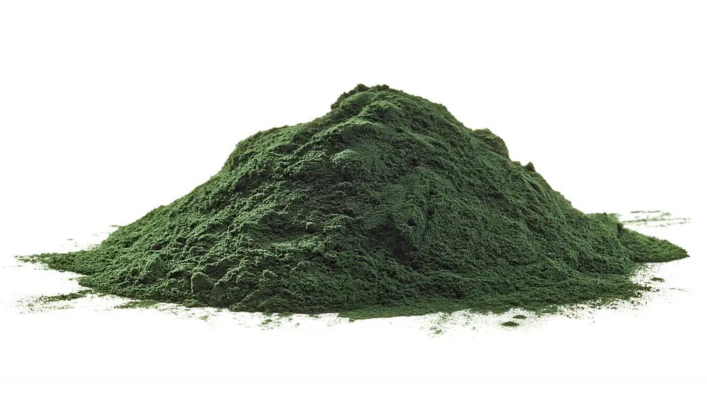 plant-based iron-rich foods that we have is spirulina