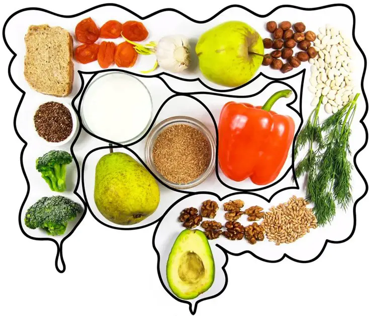 foods rich in fiber How fiber keeps us from going