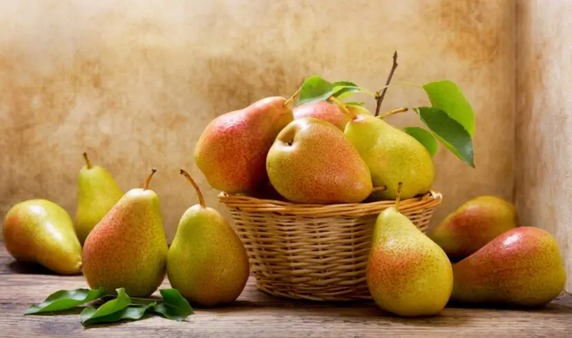 The Infamous Miracle Fruit - Pears, and the Amazing Health Benefits
