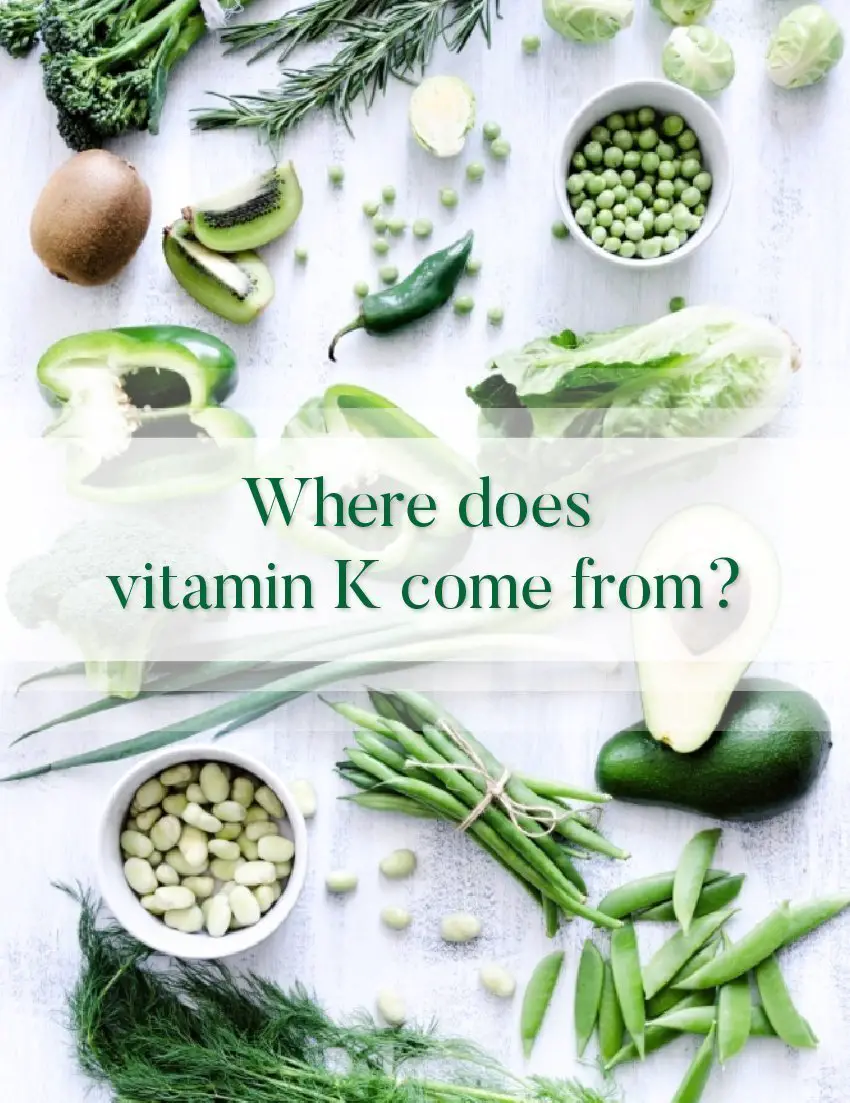 Where does vitamin K come from?