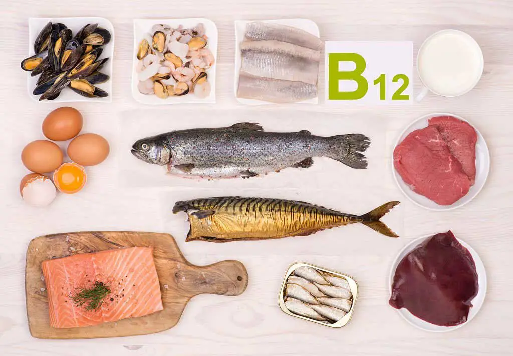 vitamin B food sources are those with vitamin B12