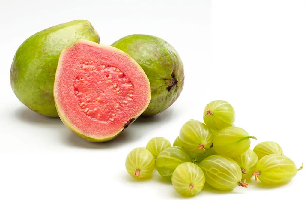 Exotic fruits like guava and Amalaki fruit