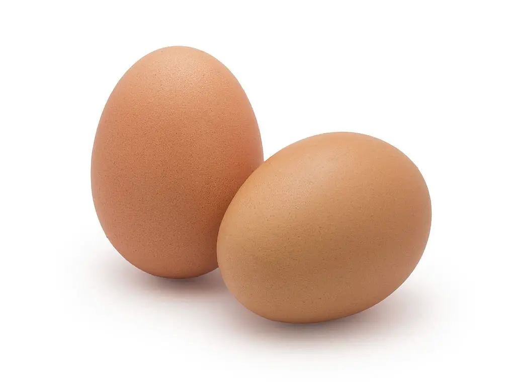Eggs can be used in many dishes