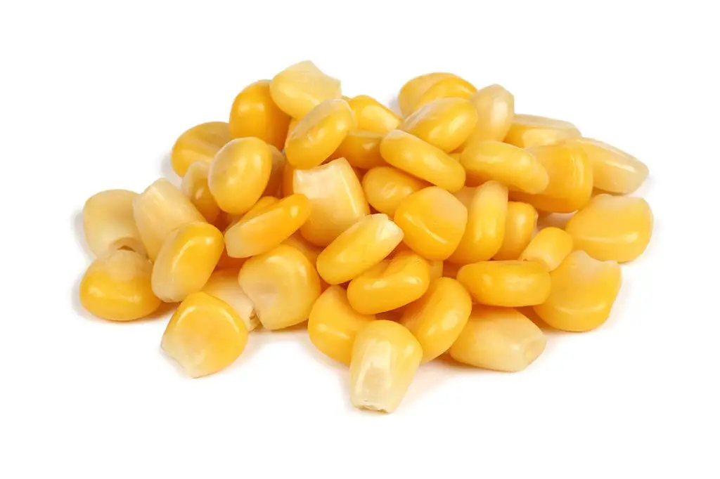 Corn in fresh frozen or popped is tested
