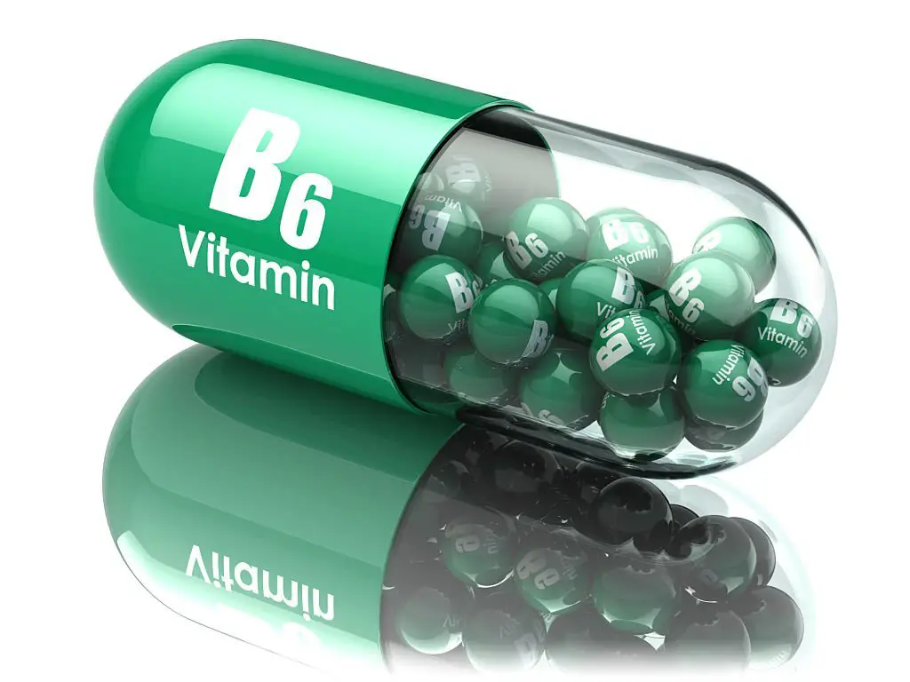 vitamin B6 or pyridoxine is the key for protein