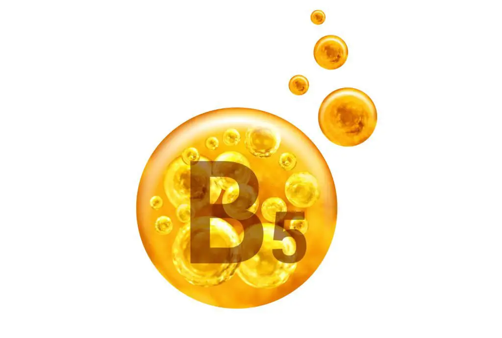 Vitamin B5 is what bodybuilder needs for workouts