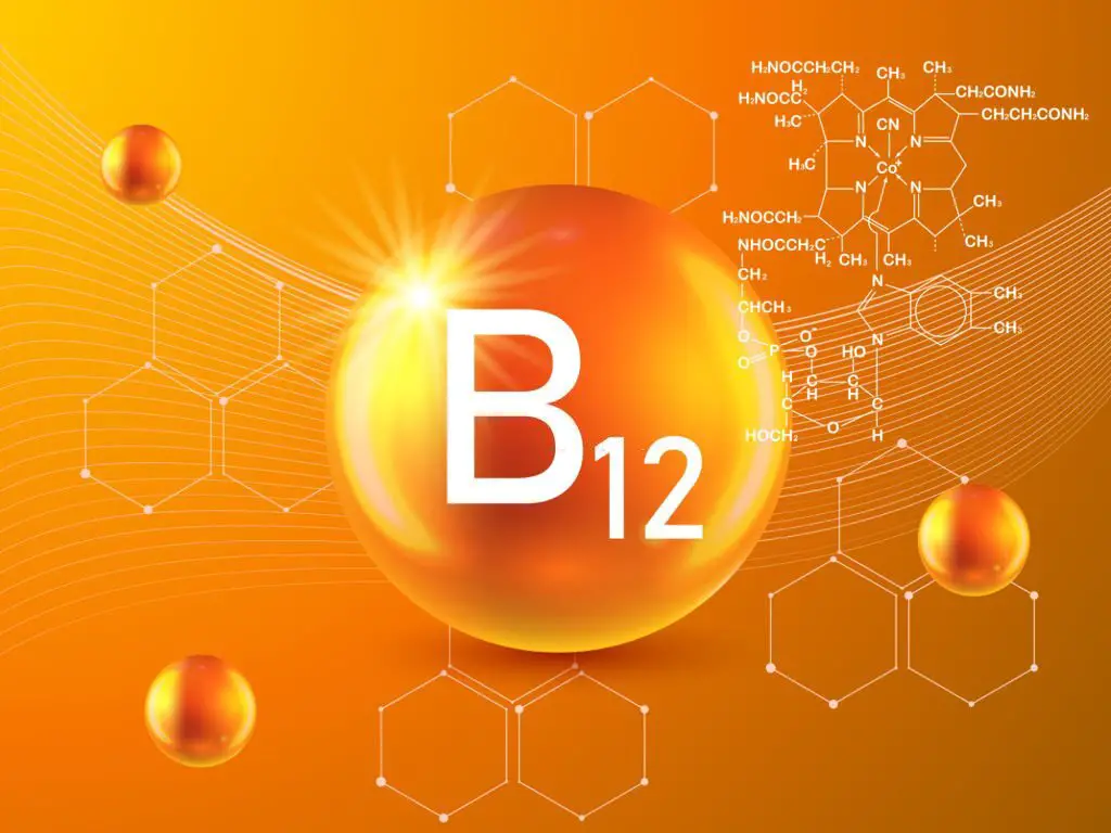 vitamin B12 to produce myelin surrounding