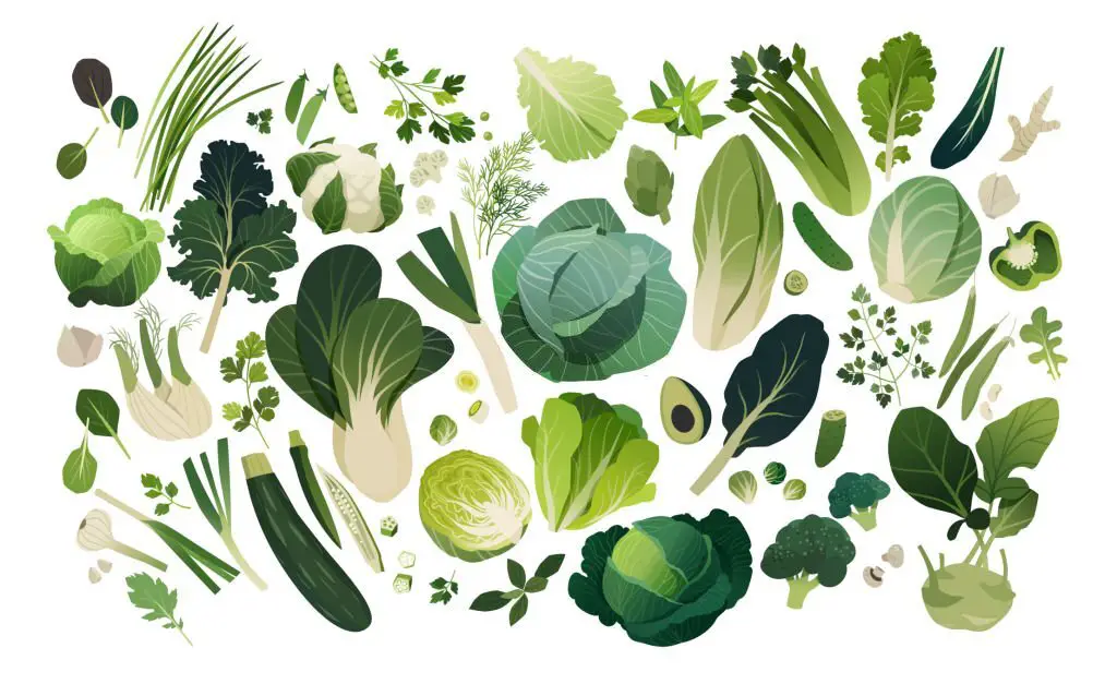 green leafy vegetables can be a good source of vitamin E