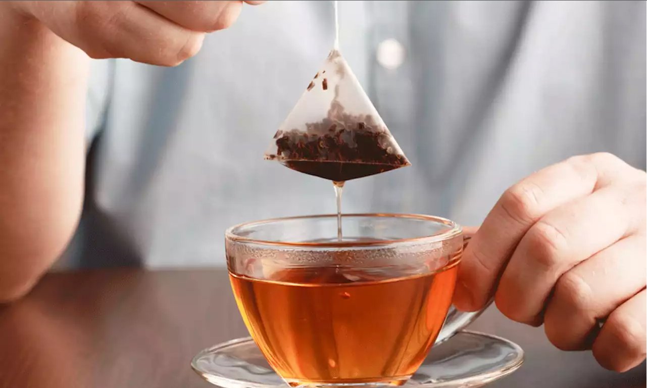 Organic-Teabags-Oppose-the-Harmful-Effects-of-Microplastic-in-our-Health